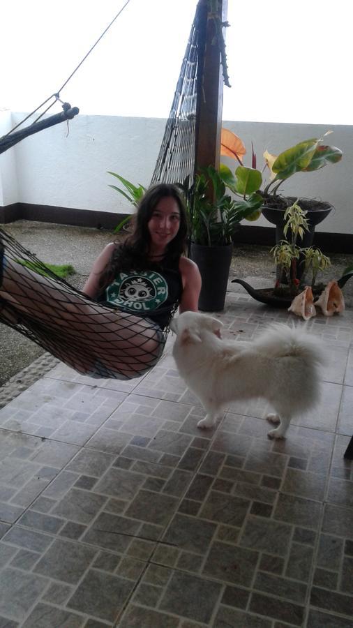 Bamboo Beachhouse Dormitory Garcia Hernandez Luaran gambar